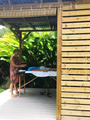 Un massage ou un soin reiki vous tente dans un luxuriant espace vert zen sur l'île de la Guadeloupe ? C'est dans un jardin fleuri que je pratique ces soins et je vous y invite.