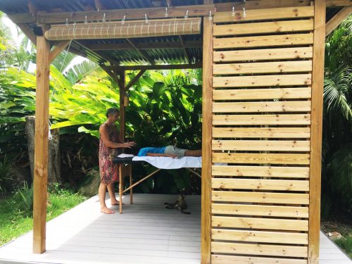 Un massage ou un soin reiki vous tente dans un luxuriant espace vert zen sur l'île de la Guadeloupe ? C'est dans un jardin fleuri que je pratique ces soins et je vous y invite.